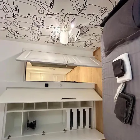 Splendid Flat 1 And 1 Sofa Bed Renovated 2p3 Apartment